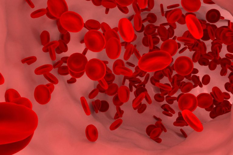 Combattre l’anémie grâce à la phycocyanine